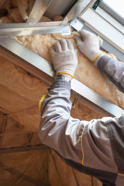 Types of Insulation We Offer in Valencia, NM